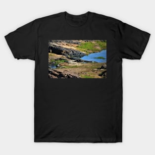 Crocodile in the Crocodile River 2 T-Shirt